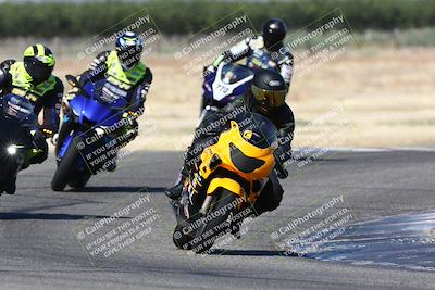 media/Jun-30-2024-TrackDaz (Sun) [[975061b0f9]]/Group C/Grapevine (940am)/